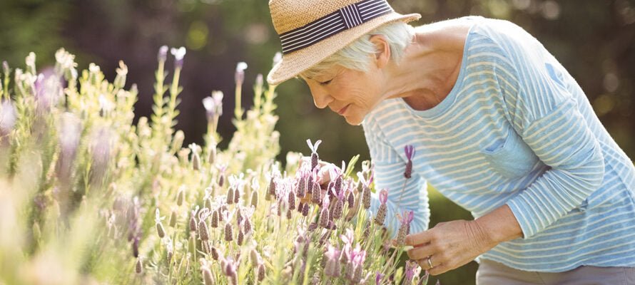 Nächtliche Geruchsverbreitung für die kognitive Gesundheit bei älteren Erwachsenen - AD Germany