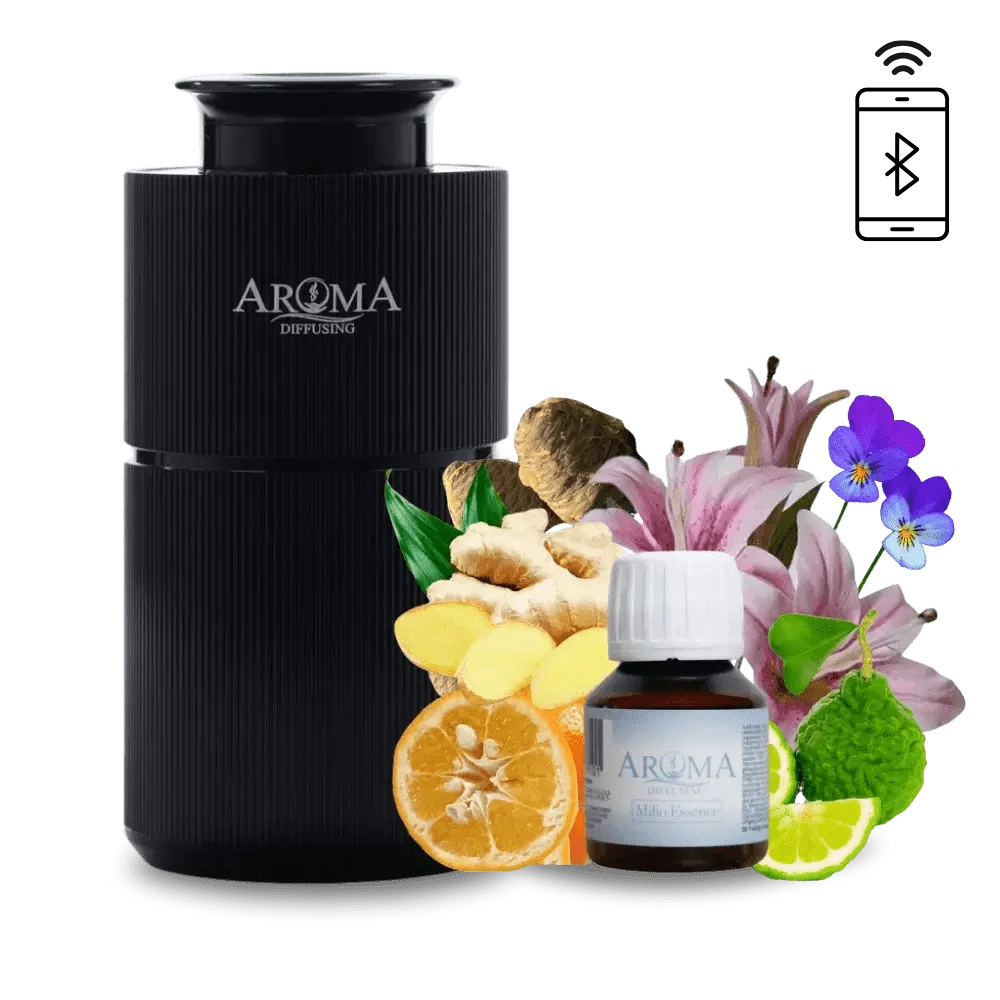 Luxusurlaubs AromaDiffusing Mini (bis 25 m²)