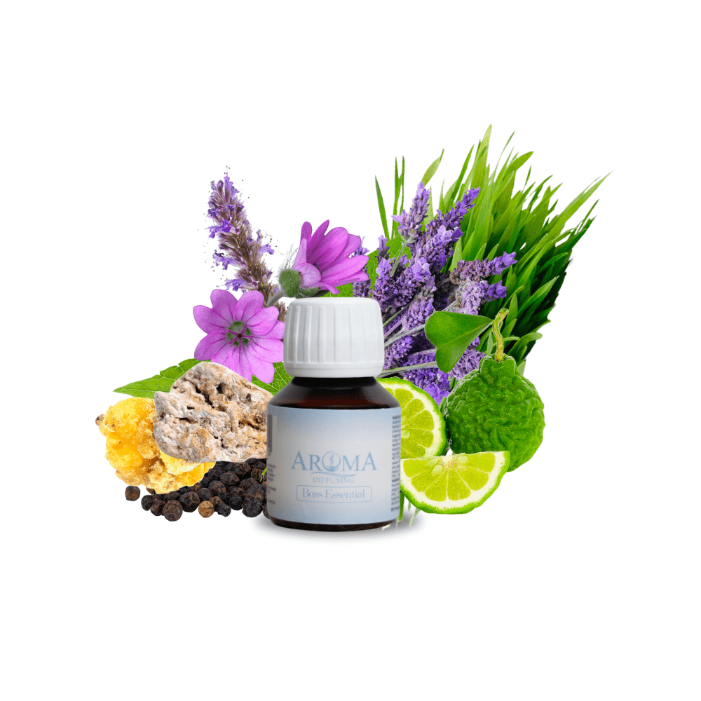 AromaDiffusing Duftöle Inhalt 50 ML Parfümöl Verschiedene Düfte Boss Essential