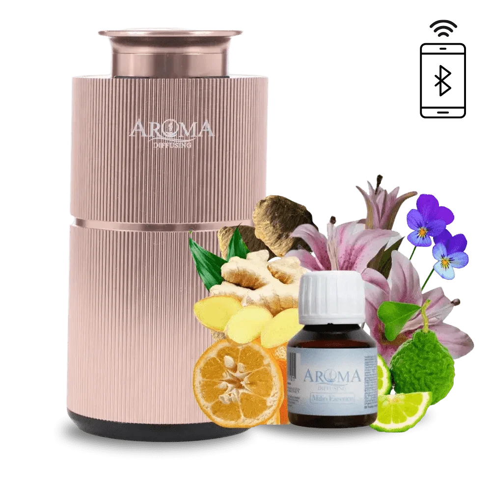 Luxusurlaubs AromaDiffusing Mini Pro (bis 40 m²)